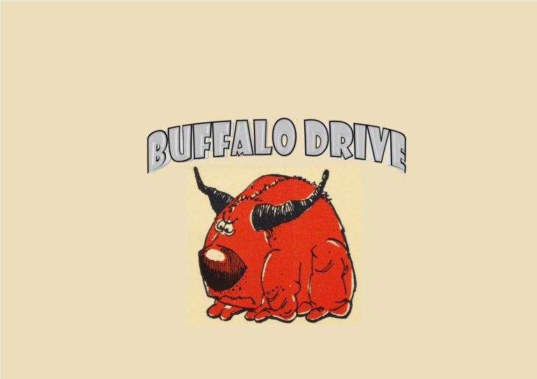 buffalo driven